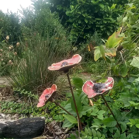 La Grange Aux Dimes Bed and Breakfast Walcourt