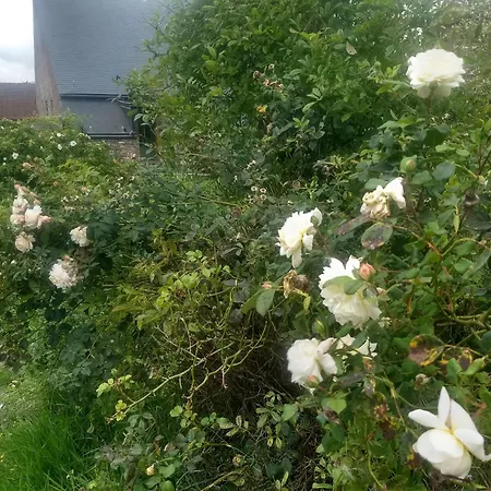 Bed and Breakfast La Grange Aux Dimes 3*