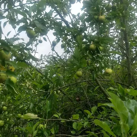 Bed & Breakfast La Grange Aux Dimes