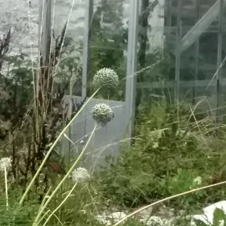 La Grange Aux Dimes Bed and Breakfast