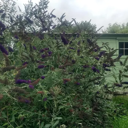 Bed & Breakfast La Grange Aux Dimes Walcourt