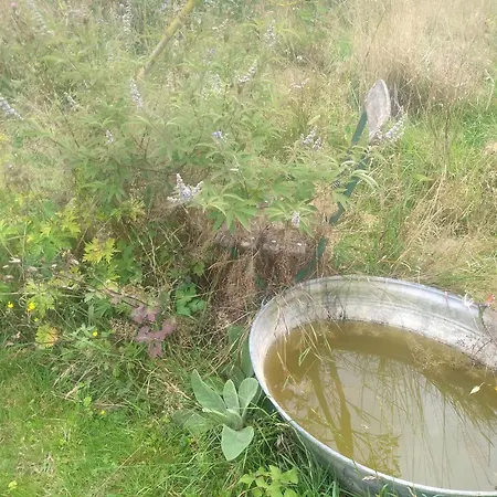 Bed and Breakfast La Grange Aux Dimes 3*