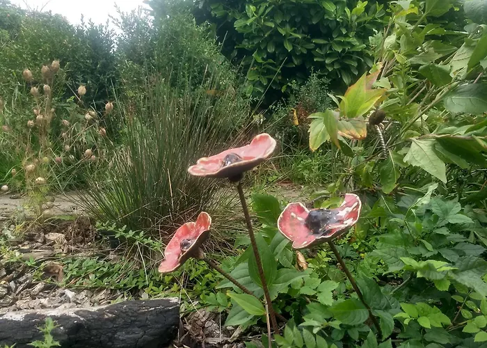 La Grange Aux Dimes Bed & Breakfast Walcourt