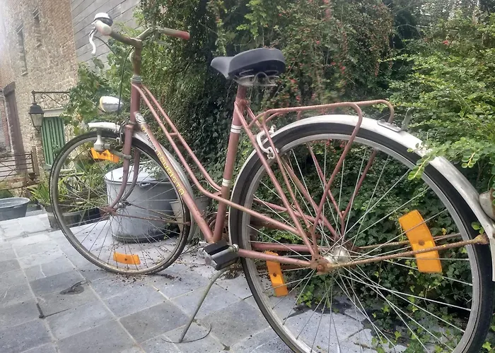 La Grange Aux Dimes Bed & Breakfast