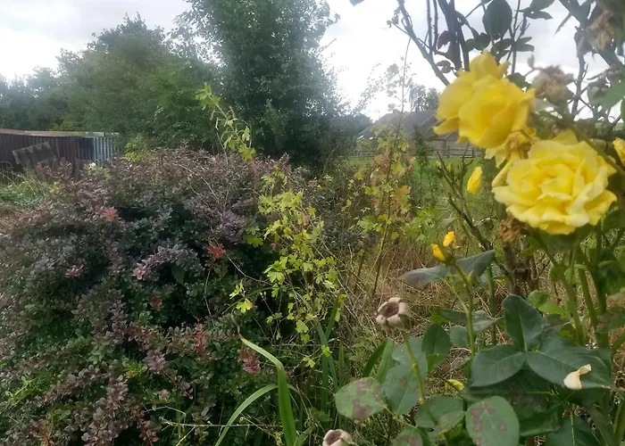 La Grange Aux Dimes Bed & Breakfast 3*