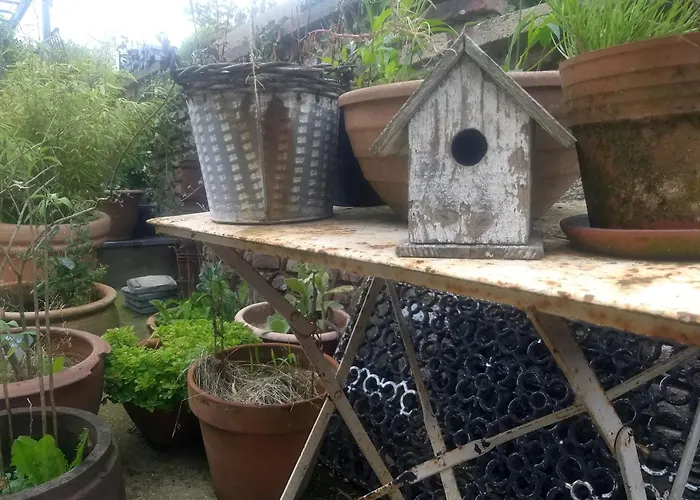 Bed & Breakfast La Grange Aux Dimes Walcourt