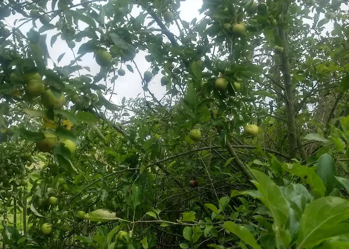 Bed & Breakfast La Grange Aux Dimes