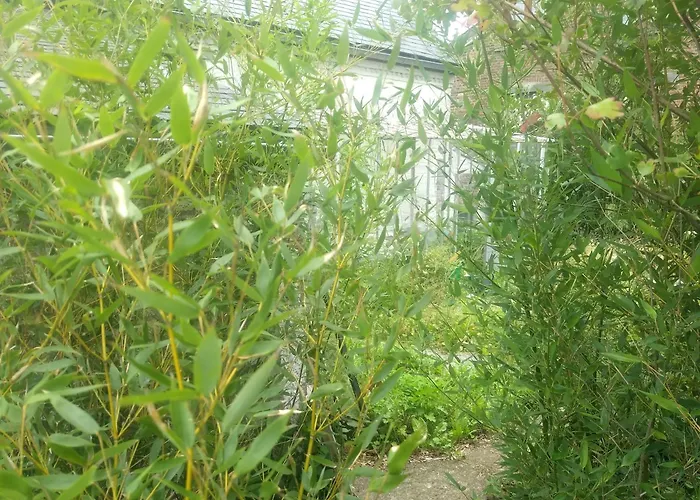 La Grange Aux Dimes 3* Walcourt