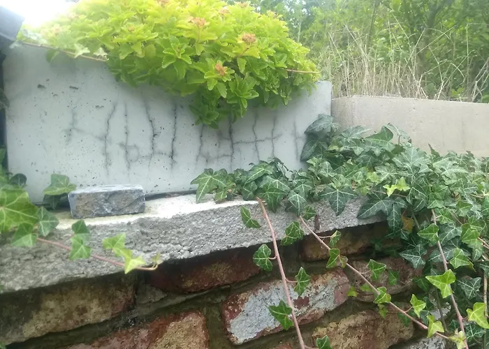 La Grange Aux Dimes Walcourt