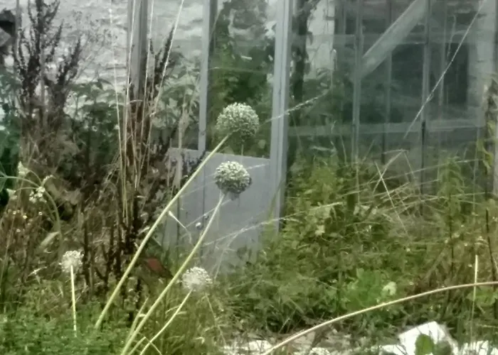 La Grange Aux Dimes Bed & Breakfast