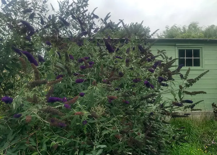 Bed & Breakfast La Grange Aux Dimes Walcourt