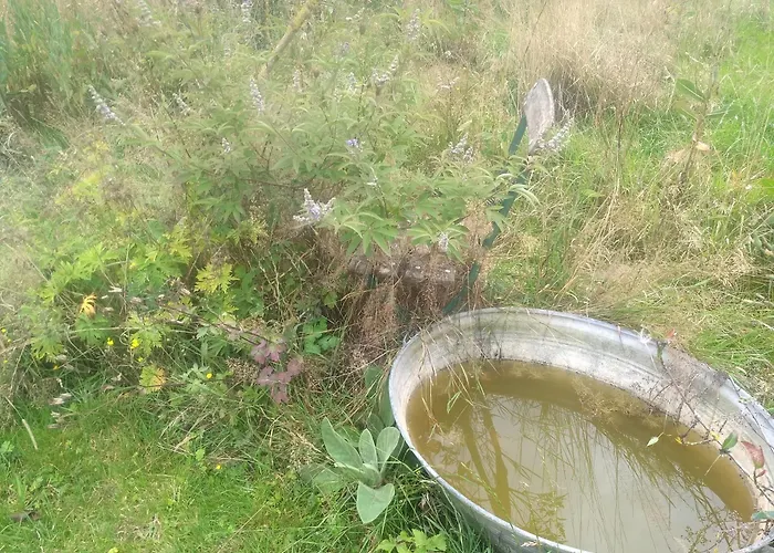 Bed & Breakfast La Grange Aux Dimes 3*